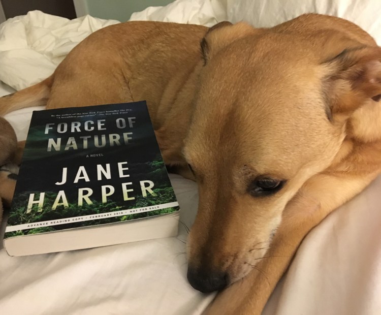 Force of Nature-Jane Harper